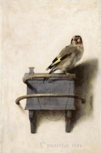 Carel Fabritius, (1622–54), The Goldfinch (1654), Oil on panel, 33.5 x 22.8 cm. Royal Picture Gallery Mauritshuis, The Hague