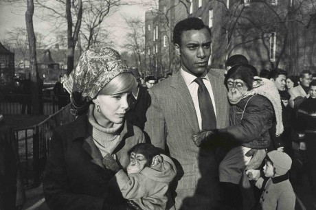 GarryWinogrand, Central Park Zoo, New York,  1967. Tirage gélatino-argentique. Collection of Randi and Bob Fisher. © The Estate of Garry Winogrand, courtesy Fraenkel Gallery, San Francisco