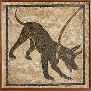 G. Mosaic of a guard dog. From the House of Orpheus, Pompeii, 1st century AD. © Soprintendenza Speciale per i Beni Archeologici di Napoli e Pompei/Trustees of the British Museum