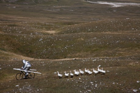 Agnes Meyer-Brandis, still from  Moon Goose Analogue: Lunar Migration Bird Facility. Training moongeese to fly in formation