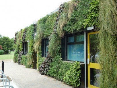 Living Wall, Grant Thorold Library, Grimsby, England, created by BioTecture Ltd.