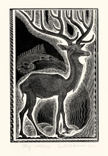 Gertrude Hermes, Stag, 1932.  Photo Douglas Atfield.