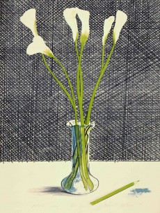 David Hockney, Lillies, 1971, Lithograph, 29.5x 21ins ed: 65 & ed: 35, © David Hockney