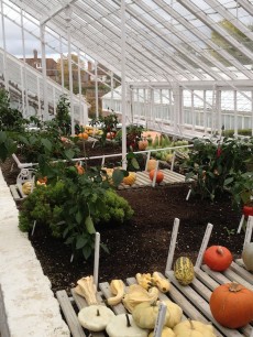 A glass house in the walled garden at West Dean Gardens, West Dean, West Sussex