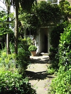 Jill and Martin Leman's garden in Malvern Terrace, London, opened in aid of the NGS. © Jill Leman