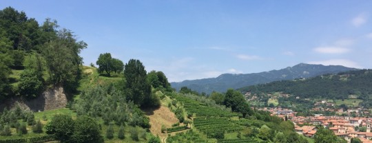 Bergamo, as seen from the hilltop. Photo © Stephen Kingsley