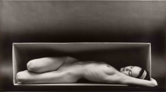 Ruth Bernhard, In the Box, Horizontal, 1962