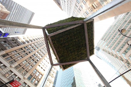 Underneath a Broadway Green elevated cube: elevated cube, growing vegetation and steel, 10.6 ft x 5 ft. x 5 ft.