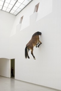 Maurizio Cattelan, Untitled (2007). Taxidermied horse,