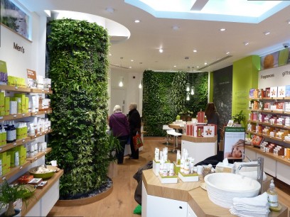 Living Wall, Melvita shop, Covent Garden, London, created by BioTecture Ltd.