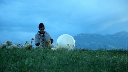 Agnes Meyer-Brandis, still from  Moon Goose Analogue: Lunar Migration Bird Facility. Altitude training for moongeese