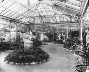 The greenhouse at Moulton Paddock