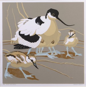 Robert Gilmor, Avocet and Chicks