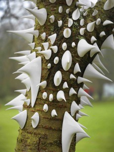 Natalia Dias, Thorn Tree, 500 individual porcelain thorns assembled on a tree, sizes vary from 3 - 16 cm, © Steve Russell Studios