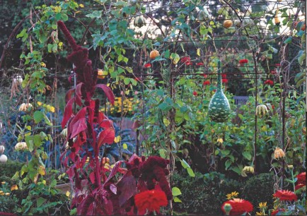 Kitchen garden of Anne and Patrick Quibel’s Jardin Plume, Normandy, France. © Joëlle Caroline Mayer & Gilles Le Scanff