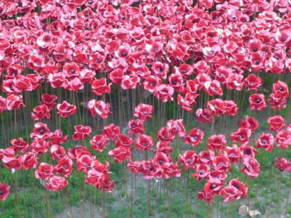 Paul Cummins, Blood Swept Lands and Seas of Red, Tower of London (detail)