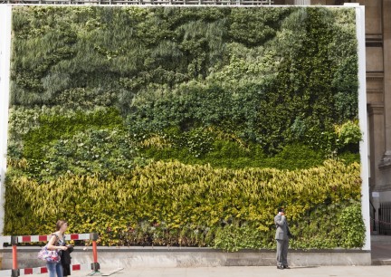 The Living Wall,  The National Gallery