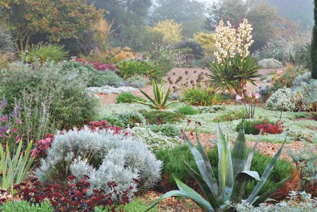 The ecological garden can sometimes be a dry landscape garden, requiring no watering, as with these plantings made by the British gardener Beth Chatto on a former parking lot, Essex, UK. © The Beth Chatto Gardens/Asa Gregers