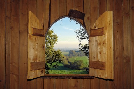 View from the Hermitage across to the North Downs