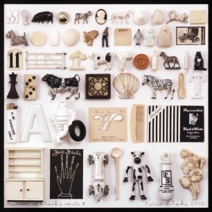 Peter Blake, Museum of Black & White 8 (Homage to Mark Dion), collage,  found objects, box frame, 2010