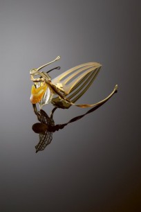 Hair ornament with a cypripedium orchid design, c.1902, France, Gold, horn, glass, enamel, 19.0 x 9.0 x 6.0cm, Anderson Collection of Art Nouveau, UEA 21125