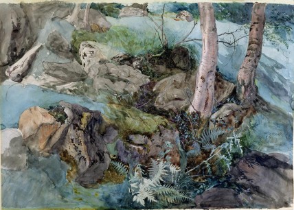 John Ruskin, Rocks and Ferns in a Wood at Crossmount, Perthshire 1847