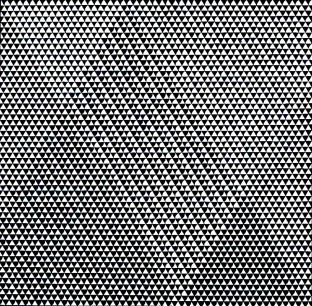 Bridget Riley, Tremor, 1962. © The artist.