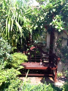 Theresa Farnham's garden, Wanstead, in summer