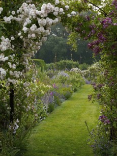 Gertrude Jekyll, the gardens at the Manor House, Upton Grey (1908) © Country Life