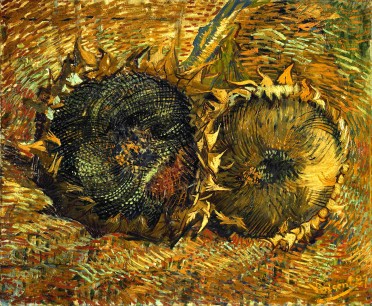 Vincent van Gogh, Sunflowers, 1887, 50 x 60.7 cm. Kunstmuseum Bern, Gift of Prof. Dr. Hans R. Hahnloser, Bern, Inv. Nr. G 2140