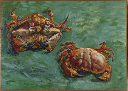 Vincent Van Gogh, Two Crabs, 1889. National Gallery, London