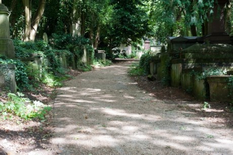 A meandering path, West Cemetery.  © Hugh Thompson