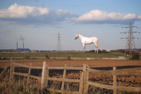 Mark Wallinger White Horse 2008 Photo montage