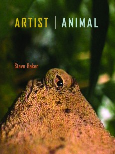 Cover of Artist/Animal by Steve Baker