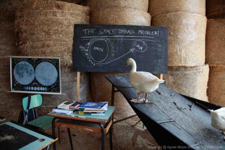 Agnes Meyer-Brandis, still from  Moon Goose Analogue: Lunar Migration Bird Facility. Training moongeese about the dangers of space debris