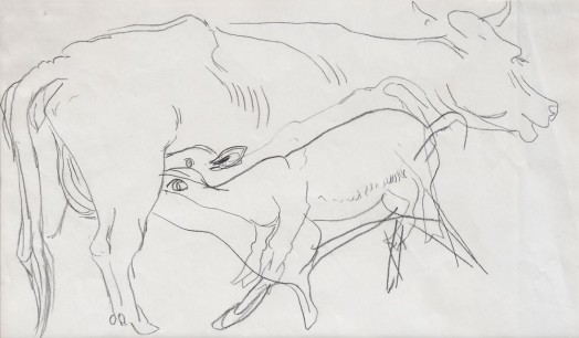 Jankel Adler, Calf Suckling (1940s), pencil drawing. From the Aukin Collection 19.5x33.5cm