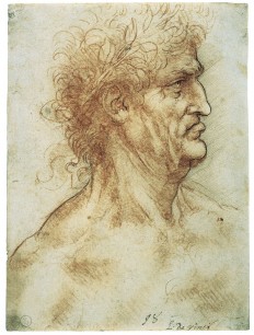 Leonardo da Vinci, Profile Study of an Old Man with a Laurel Wreath, c. 1506–08 © Biblioteca Reale,Turin