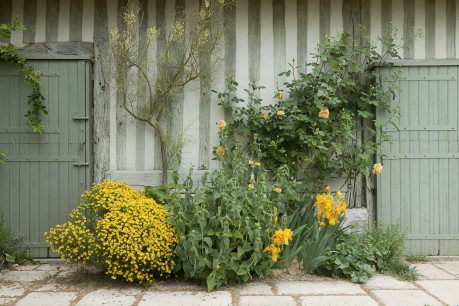 Louis Benech, part of the garden at Haras d'Heroussard in Normandy. Photo Eric Sander