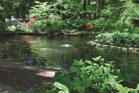 Barnes Foundation Arboretum, Merion PA