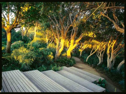 La Rozaleja: A curving of wooden steps complements the sinuous shapes of the cork trees. From Hidden Gardens of Spain