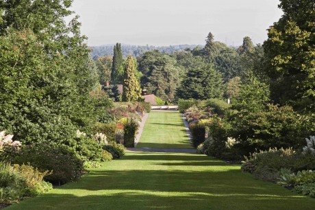 The scale of Wisley is best grasped from the summit of Battleston Hill, with its view down the Broad Walk and the two immense borders that line it.