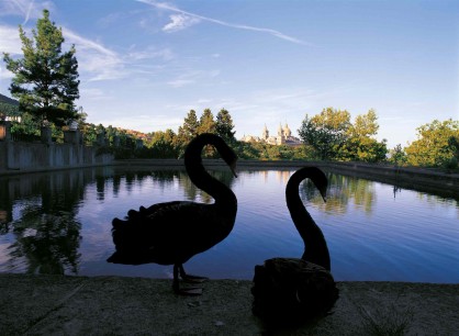 Casita Del Infante: the Escorial in the background. Brings to mind the mythological seduction of Leda by Zeus in the shape of a swan