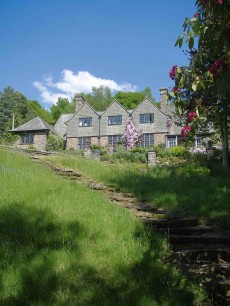 ‘The rustic steps which lead from the lower woodland walks back to the house’. Photo: Helena Gerrish