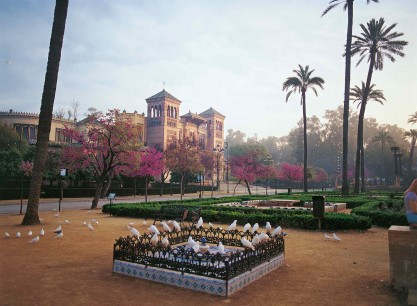 El Parque de Maria Luisa: The Plaza de América with the Pabellón Mudéjar, flowering Judas trees, date palms, low fountains & euonymus hedges