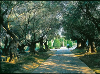 El Monasterio: 32 ancient olive trees create a shady and majestic welcome to the garden. From Hidden Gardens of Spain