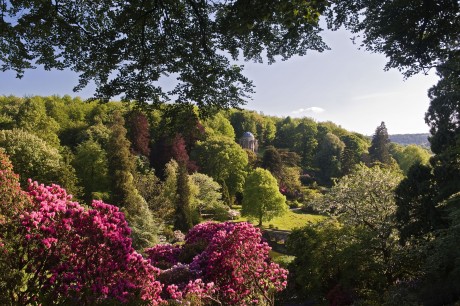 The first view of the garden as seen from the Shades, the woods above the south side of the lake. In the distance the Temple of Apollo, built by Henry Flitcroft in 1765, catches the afternoon sun