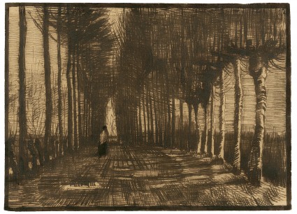 Vincent van Gogh. Dutch, 1853–1890. Avenue of Pollard Birches and Poplars, March 1884