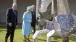 HM The Queen 'meeting' some of Tom Hiscocks' sculptures, a recreation of the Queen's Beasts