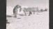 Pony camp, Camp 15. Ponies (left to right) Snippetts, Nobby, Michael and Jimmy Pigg, Great Ice Barrier, 19 November 1911, ‘Ponies tethered on the ice beside a man-made ice wall. Sledges in background’. SPRI P2012/5/76