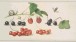 Gertrude Hamilton. Red and black currants, raspberries, snail and bee 2001 (Watercolour on paper)